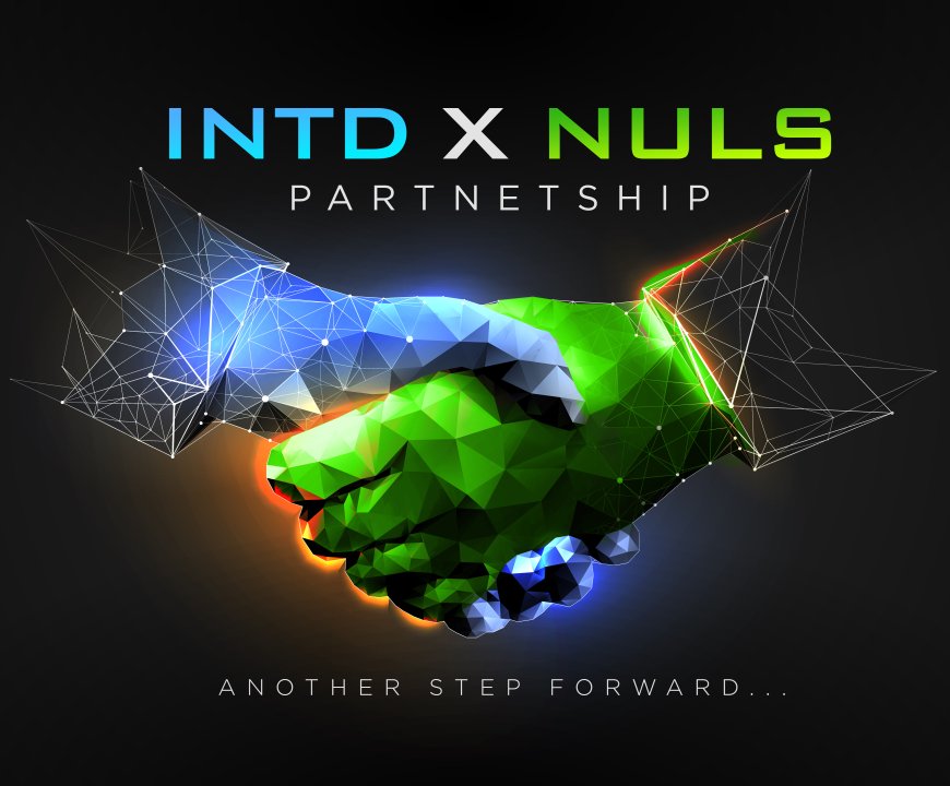 NULS and INTDESTCOIN Collaboration