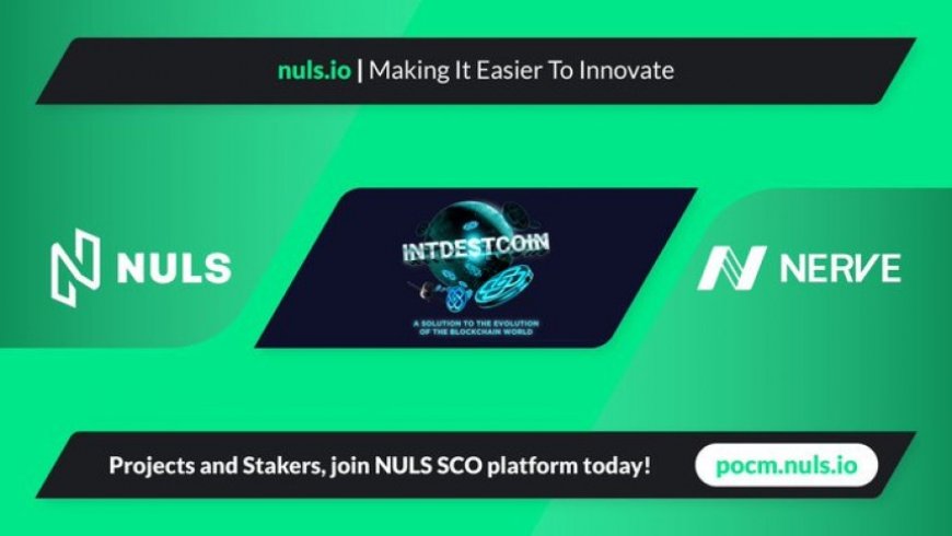 INTD X NULS PARTNERSHIP