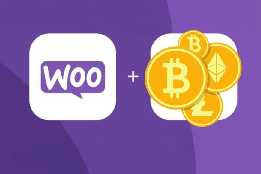 Empowering Merchants: WooCommerce’s Crypto Payment
Gateway